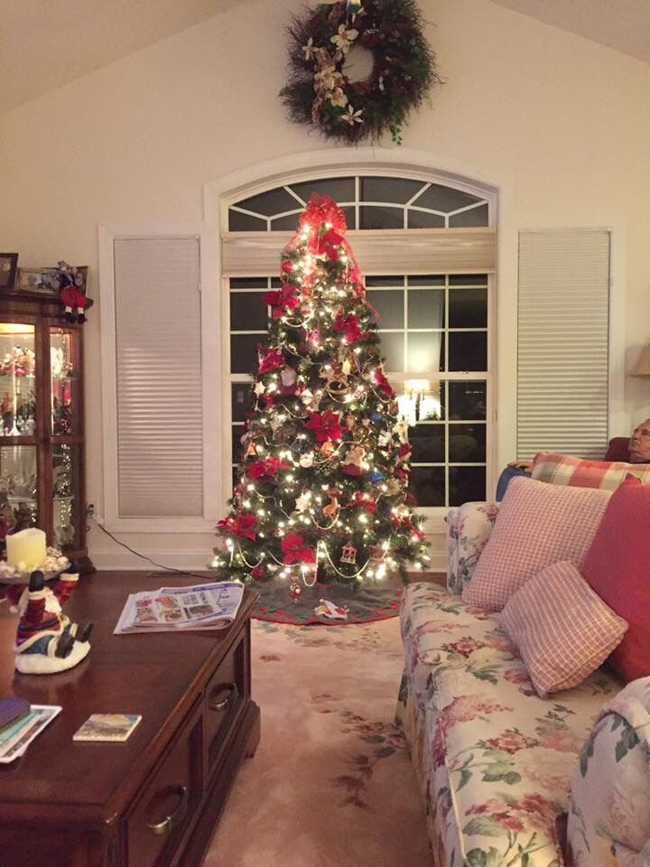 Rita Smith’s Tree